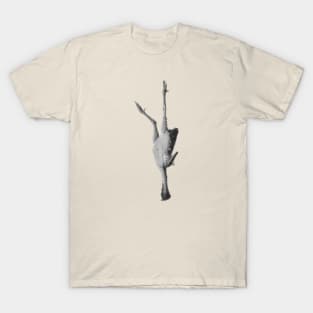 Hang in There T-Shirt